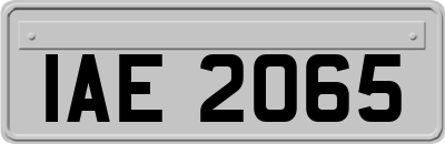 IAE2065