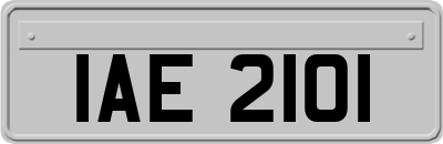 IAE2101