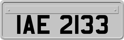 IAE2133