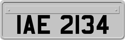 IAE2134