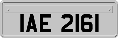 IAE2161