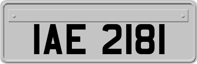 IAE2181