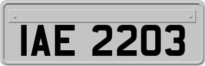 IAE2203