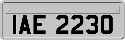 IAE2230