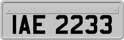 IAE2233