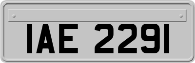 IAE2291