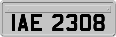IAE2308