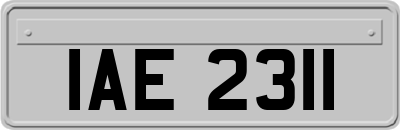 IAE2311