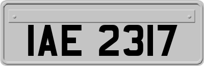 IAE2317