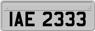 IAE2333