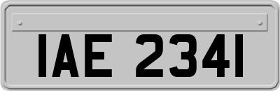 IAE2341