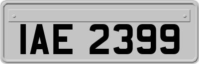 IAE2399