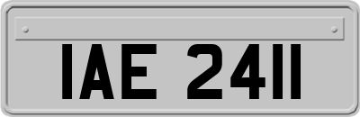 IAE2411