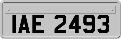 IAE2493