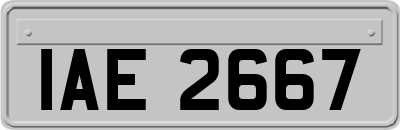 IAE2667