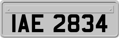 IAE2834