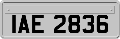 IAE2836