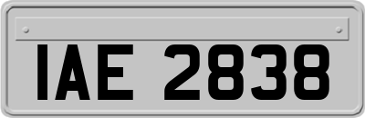 IAE2838
