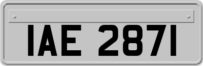 IAE2871