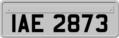 IAE2873