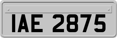 IAE2875