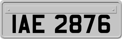 IAE2876