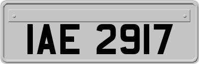 IAE2917