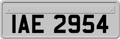 IAE2954