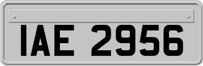 IAE2956