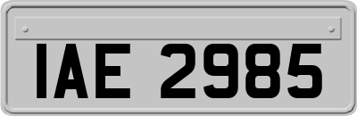IAE2985