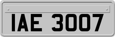 IAE3007
