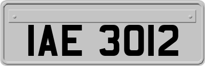 IAE3012