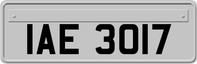 IAE3017