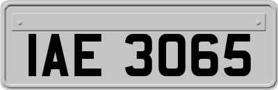 IAE3065
