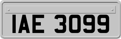 IAE3099