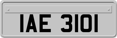 IAE3101