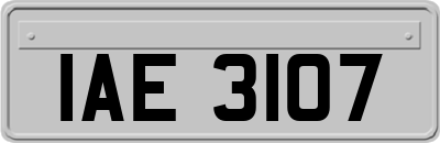 IAE3107