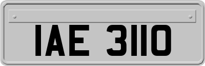IAE3110