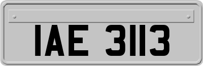 IAE3113