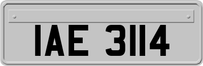 IAE3114