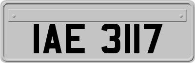 IAE3117