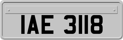 IAE3118