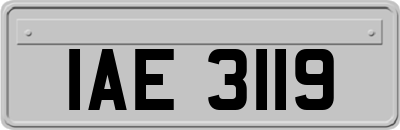 IAE3119
