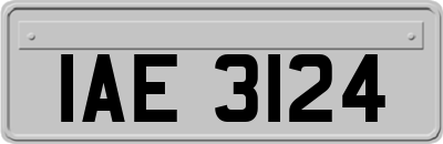 IAE3124