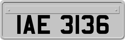 IAE3136