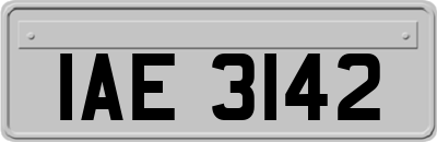 IAE3142