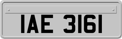 IAE3161