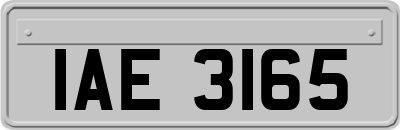 IAE3165