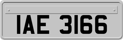 IAE3166