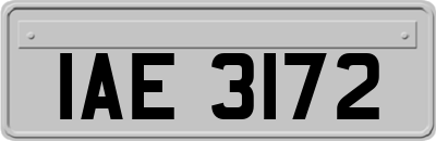 IAE3172